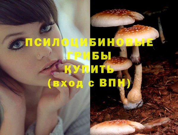 COCAINE Киреевск