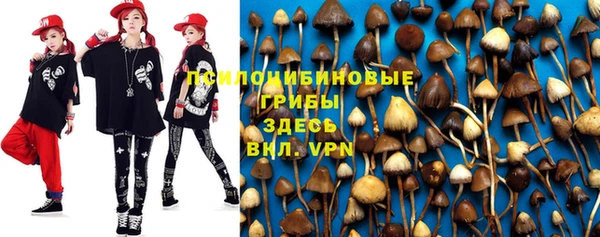 мет Кодинск