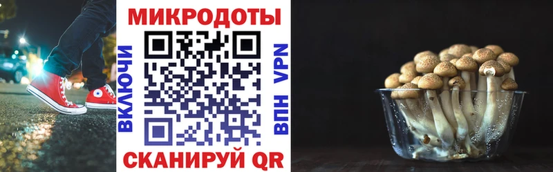 наркота shop официальный сайт Галлюциногенные грибы Cubensis Одинцово