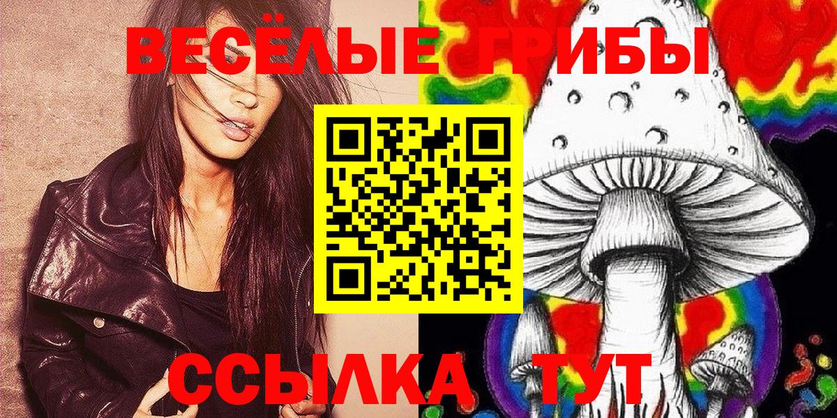 Одинцово  Галлюциногенные грибы прущие грибы  Псилоцибиновые грибы мицелий  Вход с VPN 